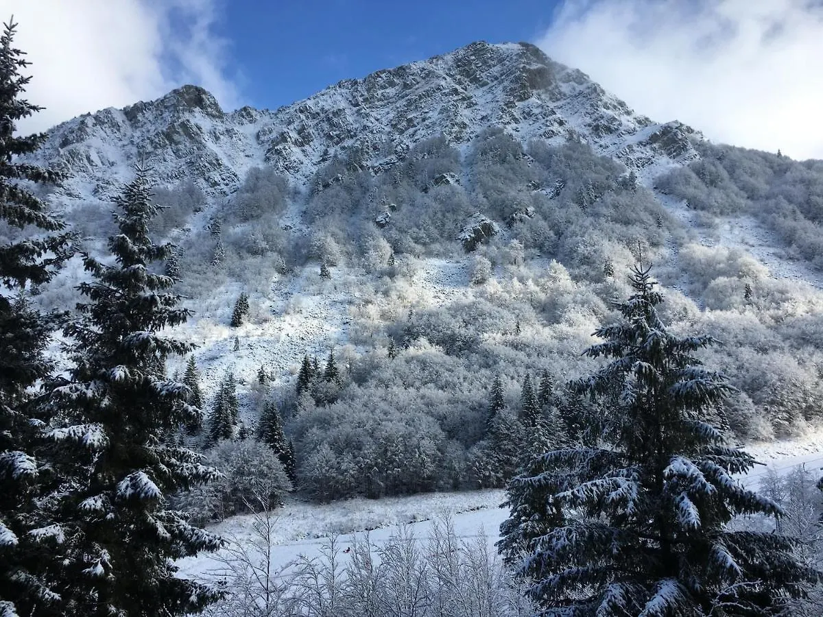 Apartment Val Di Luce - Delizioso Appartamento 6 Posti Letto - Accesso Diretto Alle Piste Da Sci Abetone